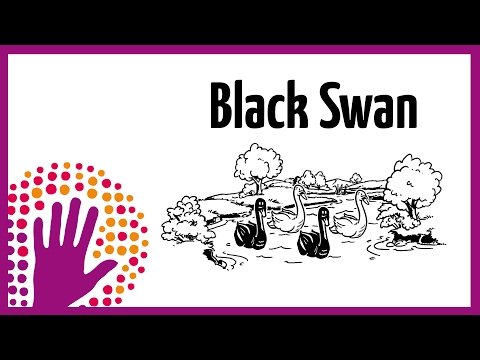 黒鳥はどこにいるの？ (Where Are All The Black Swans?)