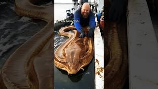 Download lagu Buatlah harimu lebih bermanfaat @SolehCHANNEL-05 #motivasi mp3