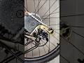 Installing A Bike Wheel Properly Shimano Biketips Mtb