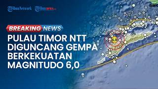 BREAKING NEWS: Gempa M 6,0 Guncang NTT dengan Kedalaman 31 Km, BMKG Imbau Warga Waspada Susulan