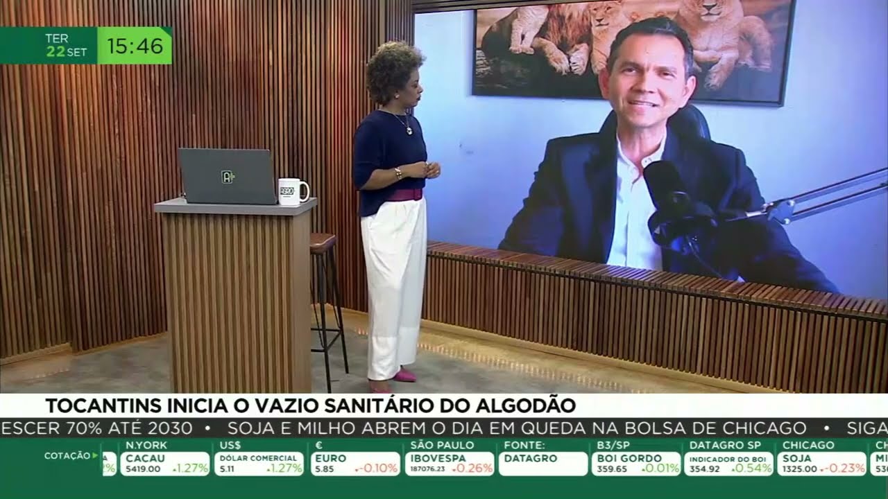 Tocantins inicia o vazio sanitário do algodão