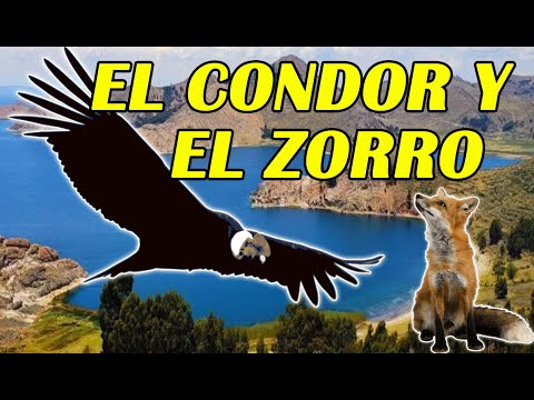 EL ZORRO Y EL CONDOR - CUENTO ANDINO - LAS HISTORIAS DE MAKITTA