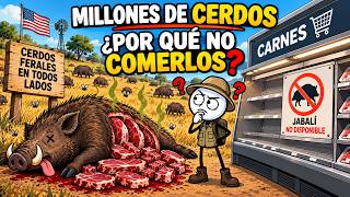 ¿POR QUÉ NO SE COME JABALÍ EN ESTADOS UNIDOS SI HAY MILLONES?