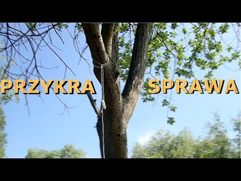 Znalazłem "wisielca"... Odc.108