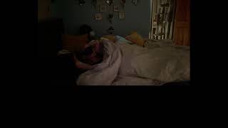 Sleep Stream + Kitties