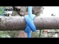 How to tie the constrictor knot