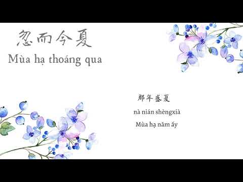 [Vietsub + Pinyin] Mùa Hạ Thoáng Qua (忽而今夏) - Uông Tô Lang (汪蘇瀧)