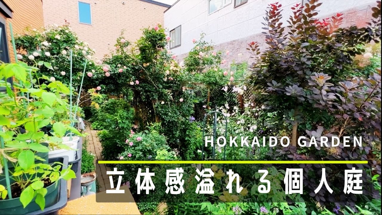 【ガーデニング】夫婦で作る立体感溢れるバラの庭【園芸】【北海道の庭】