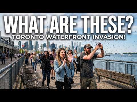 Toronto's Waterfront Problem Just Got Worse