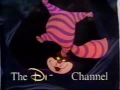 Alice In Wonderland Bumper