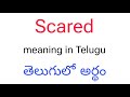 Scared Meaning In Telugu Scared తెలుగులో అర్థం Scared Telugu Meaning Scare