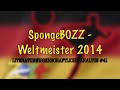 SpongeBOZZ - Weltmeister 2014 - Kevin rück' den ...