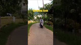 Download lagu Suasana musim panen padi di perkampungan Aceh #nature #indonesiavillage #pedesaan #alampedesaan mp3 Download lagu Suasana musim panen padi di perkampungan Aceh #nature #indonesiavillage #pedesaan #alampedesaan mp3