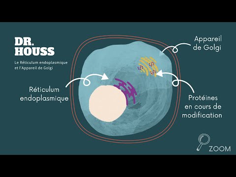 Voyage au cœur de la cellule - Dr Houss