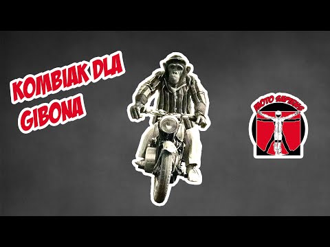 Kombinezon dla długorękiego Gibona - Motosapiens.pl
