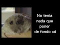 Presentacion Mia Muki Harry