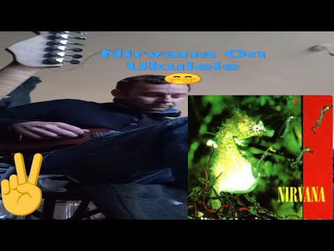 Nirvana On Ukulele 😜 - All Aplogies