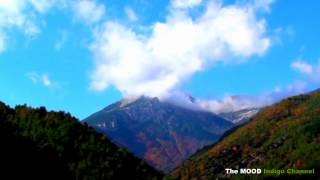 Reflection Of A Guitar Player
