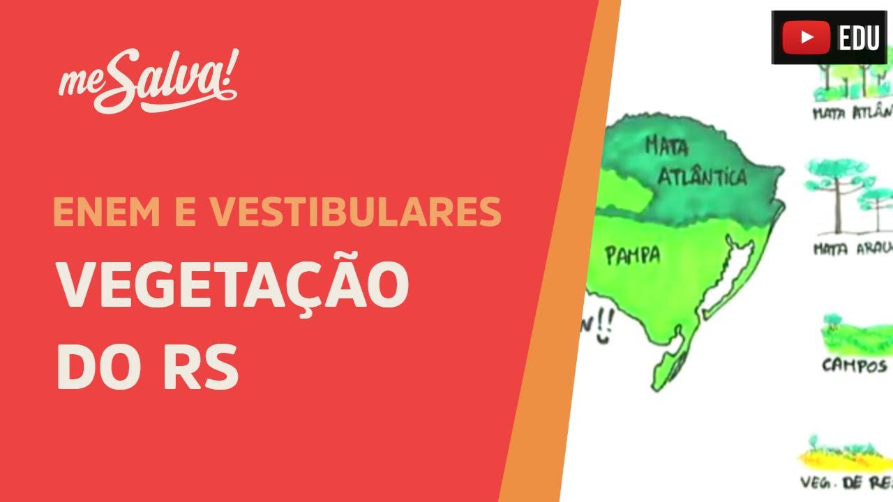Vegetação do RS - Geografia UFRGS - Me Salva!