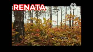 Download lagu 01. SAYANG SELAMAT MALAM - GRACE SIMON (RENATA) mp3