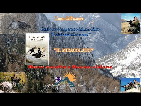 "The Miraculous One" Audio story, dedicated to my hunting companion. Hunting and mountain stories.