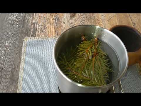 Mal wieder eine Leckerei aus der Natur - Kiefernadeltee