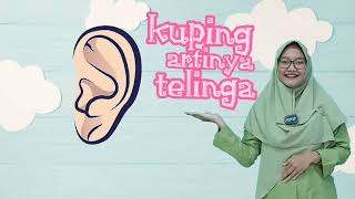 Download lagu Perangane Awak (Anggota Tubuh) - Bahasa Jawa - Kelas 1 - Video Pembelajaran Edukatif mp3