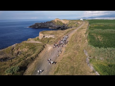 Walk&Talk 2022 / 'A walk on the Edge'