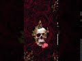 [Samsung Theme Live Wallpaper] Rose Skull_playl