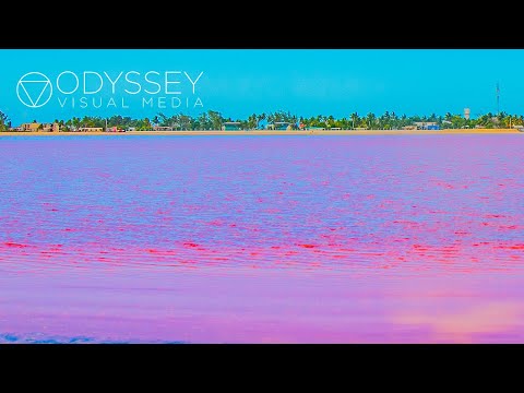 The Pink Lagoon: Las Coloradas, Yucatán | Beautiful México Travel Nature Experience Mexico