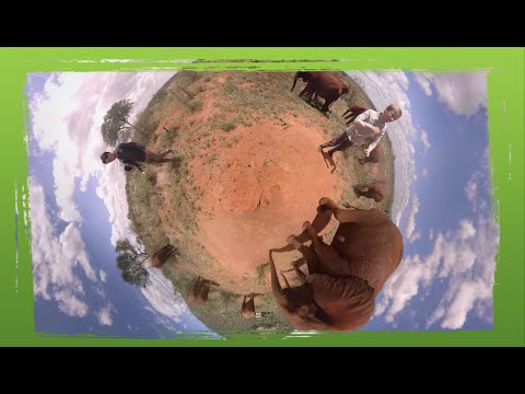 met Tom en Yannick tussen de olifanten!