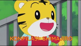 Kompilasi: Shimajiro | Kartun Anak Bahasa Indonesia | Shimajiro Indonesia