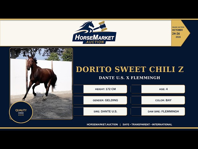 Dorito Sweet Chili Z