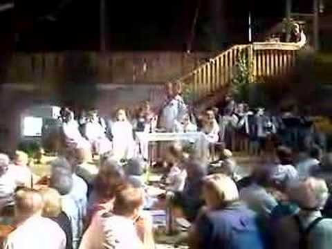 S'Krammererfest 2008 in Utzenaich