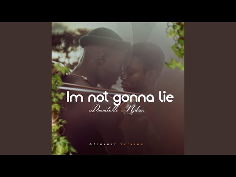 Im not gonna lie (feat. Njilour)