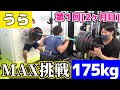 【うら2ヶ月目】スクワット175kgに挑戦【第1回スクワットMAX測定】