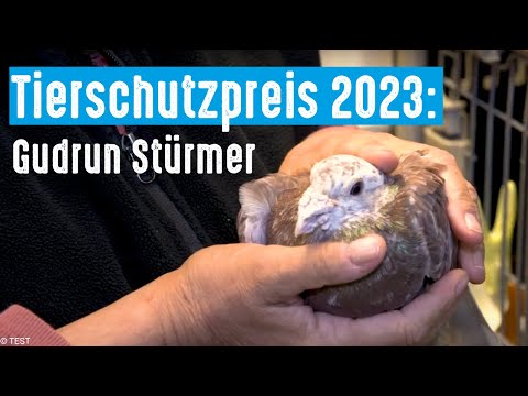 Deutscher Tierschutzpreis 2023 - Lebenswerk von Gudrun Stürmer
