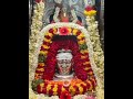 Sri Siddalingeshwara Swamy Video Song Yadiyuru