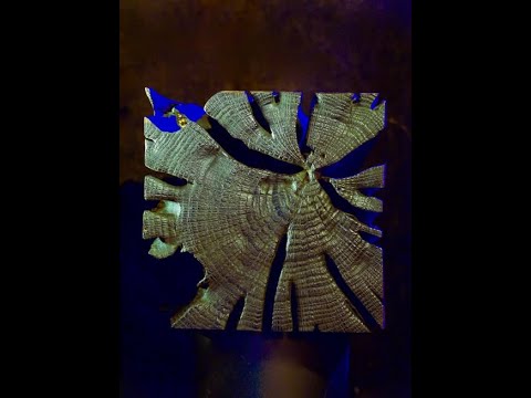 Balàzs Berzsenyi CUBI 1