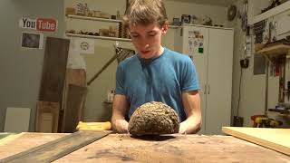 So.. This is a Burl??
