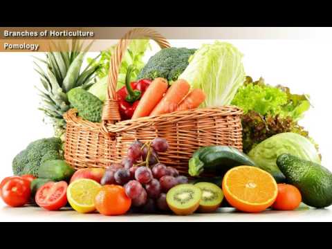 YOGESHWARAN  Elearning