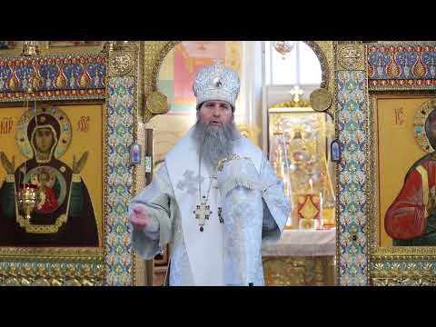 Митрополит Даниил совершил Литургию в день всех Небесных сил бесплотных