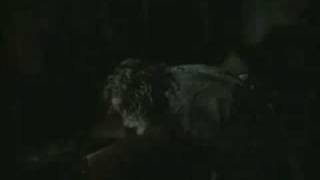 The 69 Eyes   Brandon Lee (The Crow)