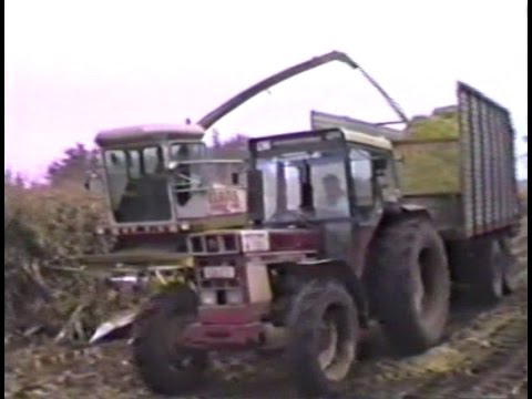 Loonw. Biermans - Morkhoven - Claas Jaguar 690 -  International 1246 - MF 1134 - MF 3080