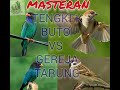 Download Lagu MASTERAN TENGKEK BUTO VS GEREJA TARUNG..full 1jam Mp3 Free