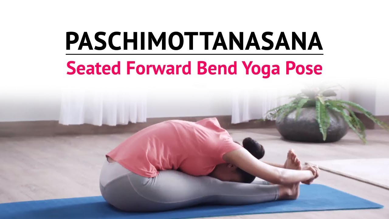 A12. Ngồi Kéo Căng Phía Sau - Paschimottanasana