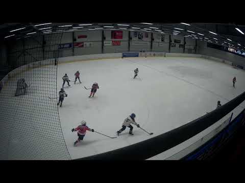 MŽA HC Lvi ČB -  HC Střelci J Hradec II. tř. Březen 2019 MOV