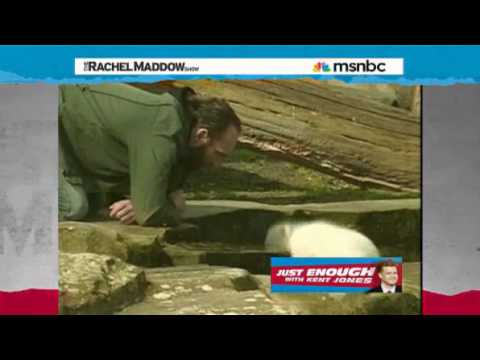 Rachel Maddow-Happy Birthday Knut!
