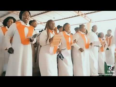 Ofertório solene   Santa Cecília Napipine