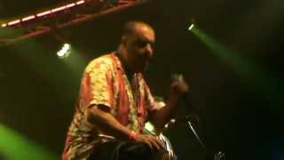 Peter and the Test Tube Babies - Shake My Word